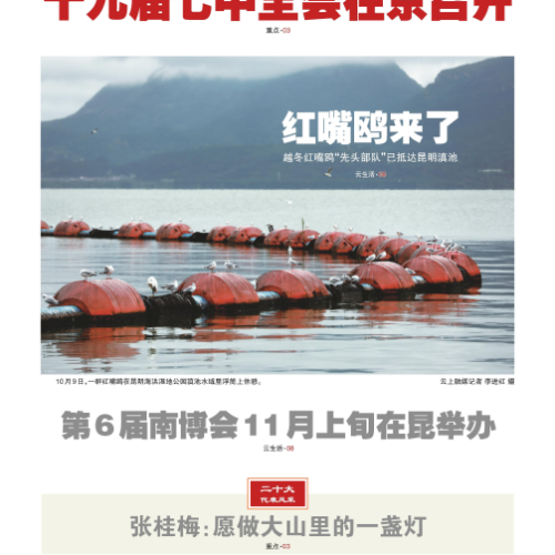 云南信息表登报电话_遗失声明