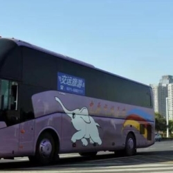 4月28日起，郑州开通多条省内景区旅游直通车